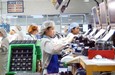 Khu CNC Đà Nẵng: DN đầu tư mới được hưởng mức thuế suất 10% đối với thu nhập