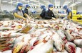 Việt Nam khiếu nại việc áp thuế cá tra của Hoa Kỳ