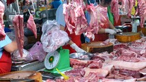 Sẽ xử lý đối tượng tung tin đồn dịch tả lợn Châu Phi xuất hiện tại Cà Mau