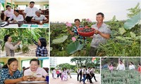 Tín dụng chính sách - công cụ trực tiếp giảm nghèo Tín dụng chính sách - công cụ trực tiếp giảm nghèo