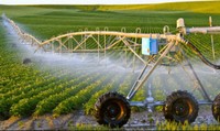 Sản xuất nông nghiệp công nghệ cao của Lâm Đồng đạt giá trị cao nhất nước Sản xuất nông nghiệp công nghệ cao của Lâm Đồng đạt giá trị cao nhất nước