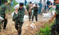 Hơn 8.000 ngày công giúp các địa phương khắc phục hậu quả thiên tai Hơn 8.000 ngày công giúp các địa phương khắc phục hậu quả thiên tai