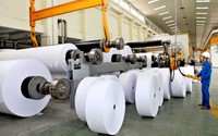 Ngành giấy Việt Nam tan giấc mơ 1 tỷ USD xuất khẩu? Ngành giấy Việt Nam tan giấc mơ 1 tỷ USD xuất khẩu?