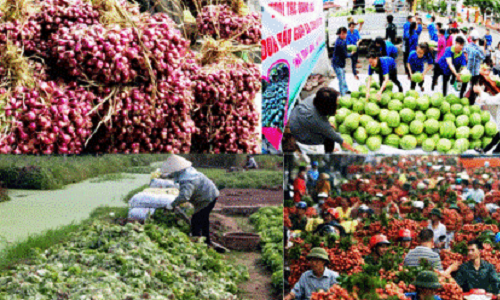 Tình trạng “khủng hoảng thừa” nông sản: Nên luật hóa trách nhiệm trong dự báo thị trường
