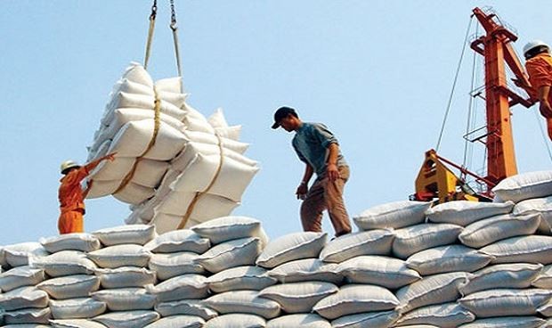 Giá gạo xuất khẩu tăng