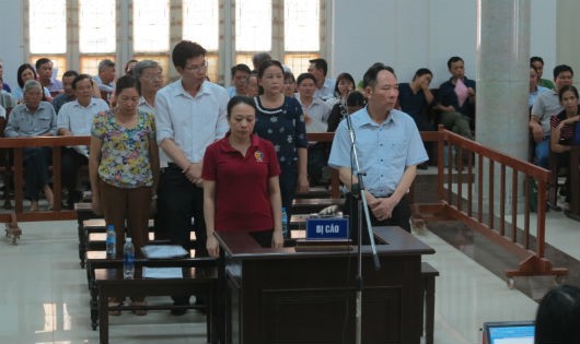 Cựu sếp Sở Nông nghiệp Hà Nội lĩnh 12 năm tù