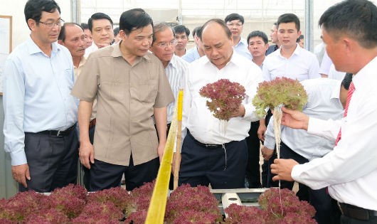 Thủ tướng: 'Trước khi gieo hạt giống cần nghĩ tới thị trường tiêu thụ ở đâu'