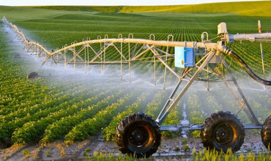 Sản xuất nông nghiệp công nghệ cao của Lâm Đồng đạt giá trị cao nhất nước