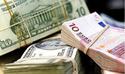 Những trường hợp nào được phép sử dụng ngoại hối?