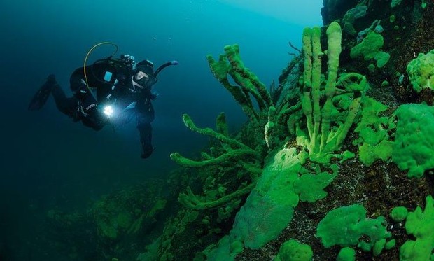Những bí ẩn xung quanh Baikal- Hồ nước ngọt sâu nhất hành tinh