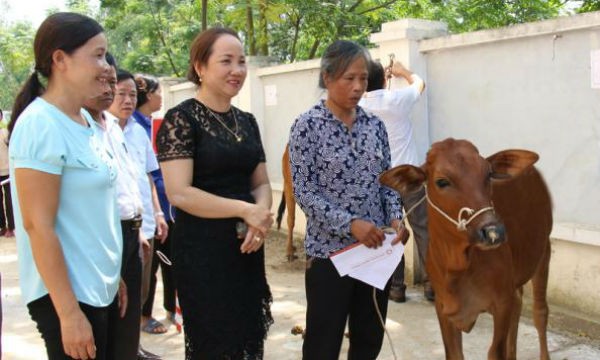 Nữ doanh nhân đi lên từ đôi bàn tay trắng