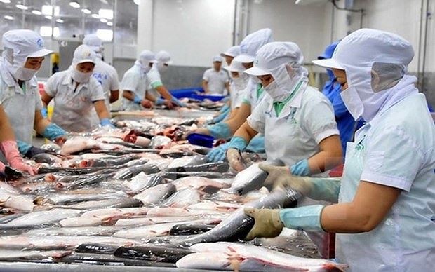 Xuất khẩu hải sản Việt Nam sẽ mất gần nửa tỷ USD/năm nếu bị EU rút “thẻ đỏ”