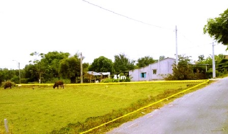 ncfg