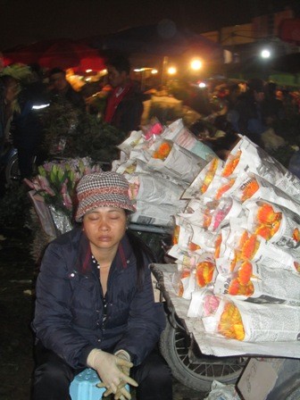 Giấc ngủ tranh thủ giữa chợ hoa khi vắng khách.