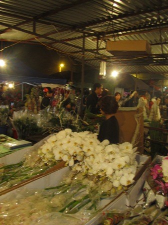 Trong chợ hoa, những gian hàng bán hoa địa lan và tulips Đà Lạt là những gian đắt khách lấy buôn nhất. Giá hoa không hề rẻ, tại đây mà đã 200 nghìn một cành địa lan, 120 nghìn một bó 10 bông tu lip. Vừa bán, cô chủ vừa cắm luôn hoa cho khách nếu có yêu cầu.