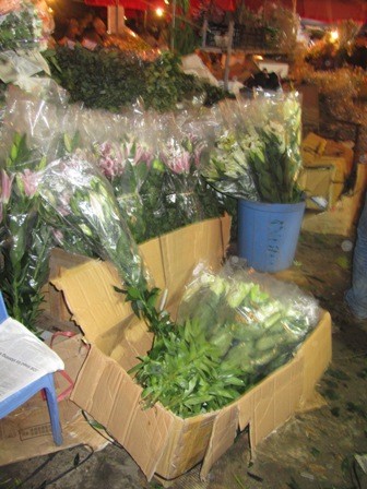 Ở chợ hoa Tây Hồ, hình ảnh những “bó hoa biết đi”, những xe máy chỉ thấy hoa chứ không thấy xe và những thùng các tông hoa như thế này là cảnh rất thường thấy.