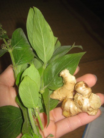 Hai loại thuốc chữa bệnh đau mắt của bà Thường