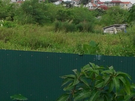 Diện tích đất bị thu hồi sau gần 2 năm vẫn nằm “đắp chiếu”