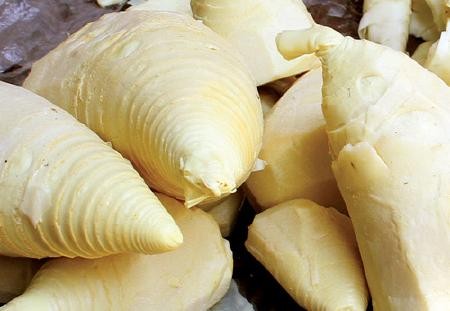 Kết quả hình ảnh cho măng tươi