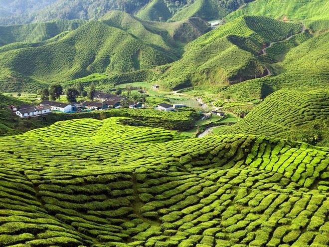 13 bức ảnh khiến bạn muốn xách ba lô đến Malaysia ngay lập tức