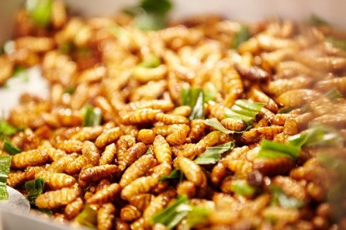 Món ngon nhắc đến là thèm ở Mù Cang Chải