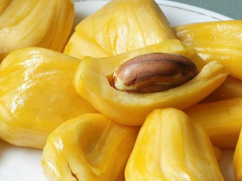 Loại quả 'cứu tinh' tương lai thế giới, thứ tầm thường lăn lóc ở Việt Nam Loại quả 'cứu tinh' tương lai thế giới, thứ tầm thường lăn lóc ở Việt Nam