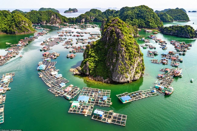 Hàng triệu người sững sờ sau khi báo Tây chia sẻ loạt ảnh Việt Nam đẹp mê hồn hình ảnh 6 hang trieu nguoi sung so sau khi bao tay chia se loat anh viet nam dep me hon hinh anh 6