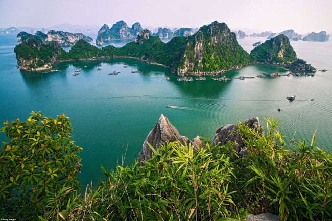 Hàng triệu người sững sờ sau khi báo Tây chia sẻ loạt ảnh Việt Nam đẹp mê hồn hình ảnh 8 hang trieu nguoi sung so sau khi bao tay chia se loat anh viet nam dep me hon hinh anh 8