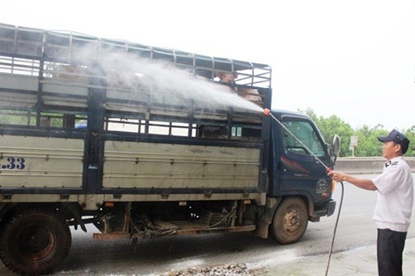 Thừa Thiên-Huế: Công bố hết dịch tả lợn châu Phi