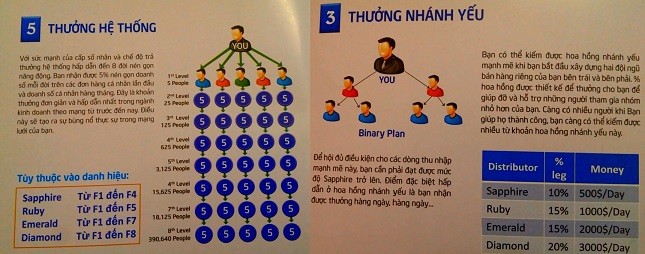 Phát hiện thêm tổ chức Vital Group kinh doanh đa cấp trái phép?