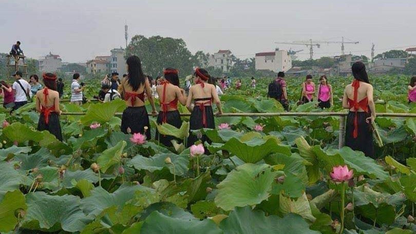 Trào Lưu “Cởi Yếm” Với Sen: “Riêng Tư”… Nơi Công Cộng! | Báo Pháp Luật Việt  Nam Điện Tử