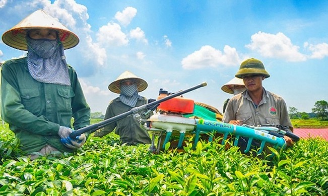 So Bó Đũa, Chọn Cột Cờ' 300 Hợp Tác Xã Điển Hình | Báo Pháp Luật Việt Nam  Điện Tử