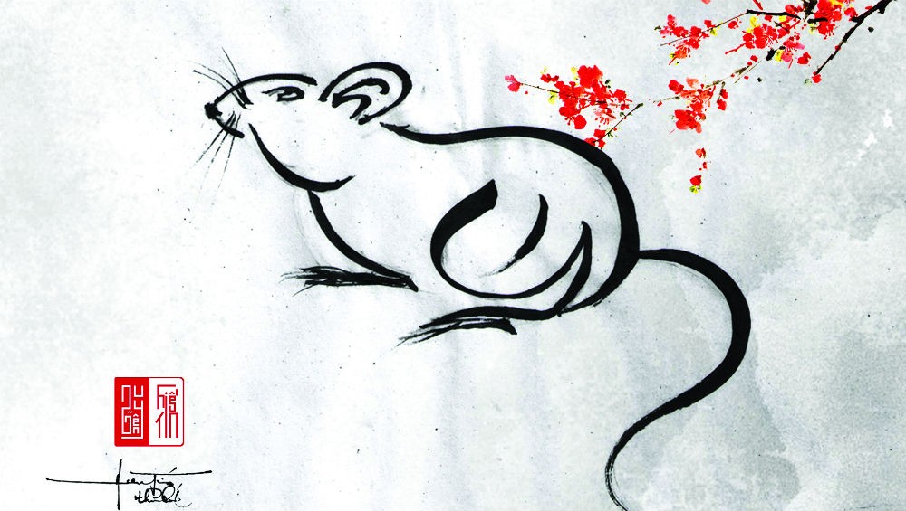 Hướng dẫn cách vẽ con chuột đơn giản với 8 bước cơ bản