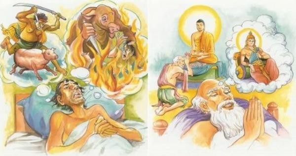 Sự khắc nghiệt của vòng luân hồi sinh lão bệnh tử trong đạo Phật
