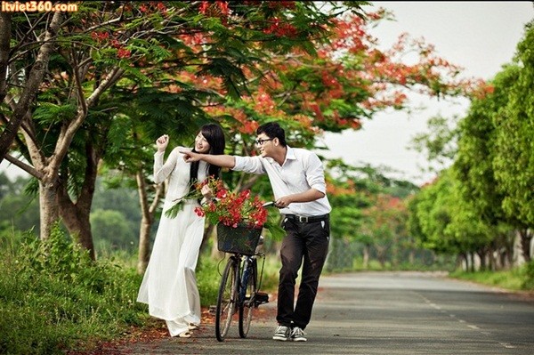 Nhìn phượng hồng nở hoa, bâng khuâng nhớ mối tình học trò | Báo Pháp luật Việt Nam điện tử Nhìn Phượng Hồng Nở Hoa, Bâng Khuâng Nhớ Mối Tình Học Trò | Báo Pháp Luật Việt Nam Điện Tử