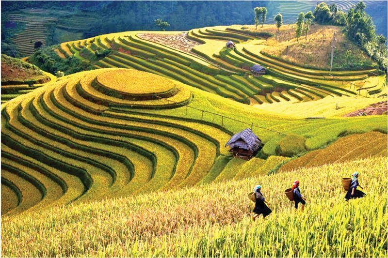 Tìm hiểu về du lịch Yên Bái Khám phá sự hấp dẫn của miền Bắc Việt Nam
