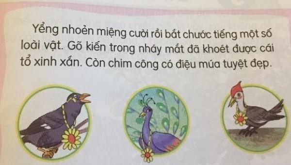 Sách Tiếng Việt lớp 1 của Nhà Xuất bản Giáo dục Việt Nam: Sử dụng ...