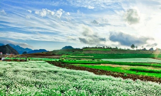 Vẻ đẹp nao lòng của thiên nhiên ở Việt Nam | Báo Pháp luật Việt ...