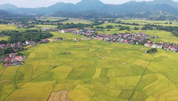 Tràng Định: Hãy khám phá vẻ đẹp lịch sử của Tràng Định - một trong những làng cổ đẹp nhất Việt Nam. Hình ảnh sẽ đưa bạn trở lại thời gian để chiêm ngưỡng kiến trúc độc đáo của những ngôi nhà cổ và cảm nhận sự bình yên của cuộc sống trên đất trồng lúa này.