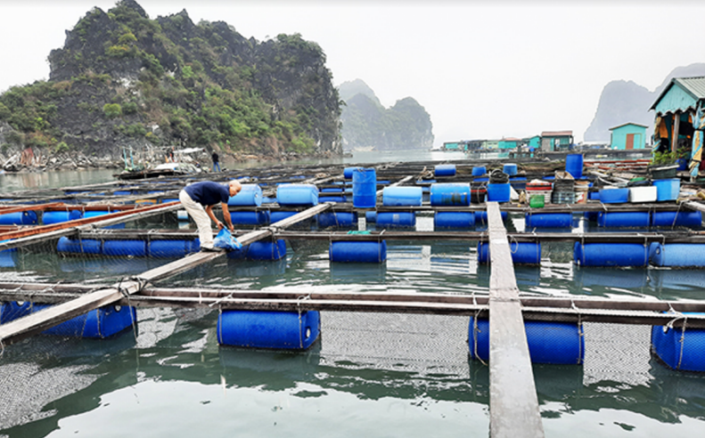 Ngành thuỷ sản nước ta hiện nay có đặc điểm nào ?