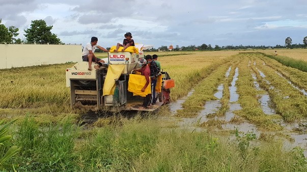 Kinh tế nông nghiệp làm chủ lực trong định hướng phát triển của Bạc Liêu