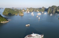 Vịnh Hạ Long - Quần đảo Cát Bà đã được Liên hiệp Khoa học Địa chất Quốc tế (IUGS) công nhận là Di sản Địa chất Quốc tế.