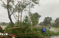 Đề nghị truy tặng Huy hiệu Tuổi trẻ dũng cảm cho quân nhân hy sinh khi chống bão