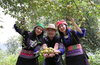 Lễ hội Sơn Tra lần đầu tổ chức tại Mù Cang Chải