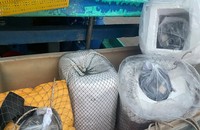 Phát hiện một tàu cá chở 9 thiết bị giám sát hành trình của tàu khác
