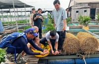 Xu hướng du lịch hiện nay là chú trọng sự bền vững. (Ảnh: Bộ VH,TT&DL)