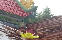 Phát hiện 2 tàu cá gửi thiết bị VMS trên… nóc nhà tại Cà Mau: Chi cục Kiểm ngư đề xuất Công an tỉnh điều tra