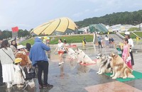 Đối xử thân thiện với động vật là một cách để phát triển du lịch bền vững. (Ảnh: tcdulichtphcm.vn)