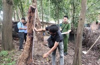 Tang vật tại hiện trường. (Ảnh: Tiến Dũng)