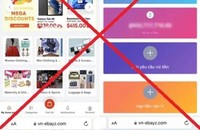 Trang web giả mạo khiến chị N.T.C, ở phường Yết Kiêu, Tp.Hạ Long, tỉnh Quảng Ninh, bị lừa đảo 847 triệu đồng.